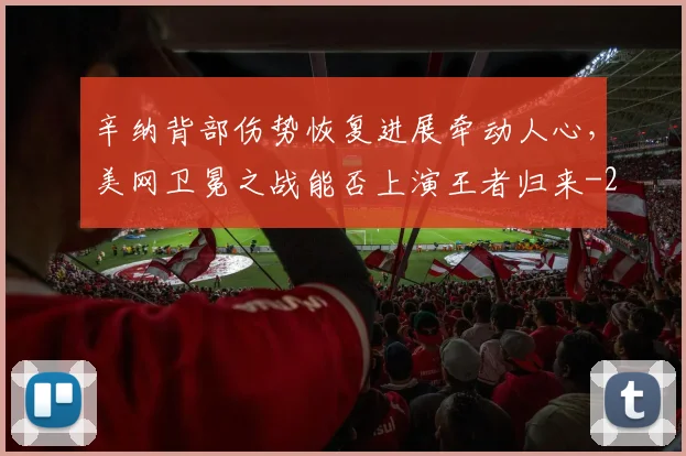 辛纳背部伤势恢复进展牵动人心,美网卫冕之战能否上演王者归来