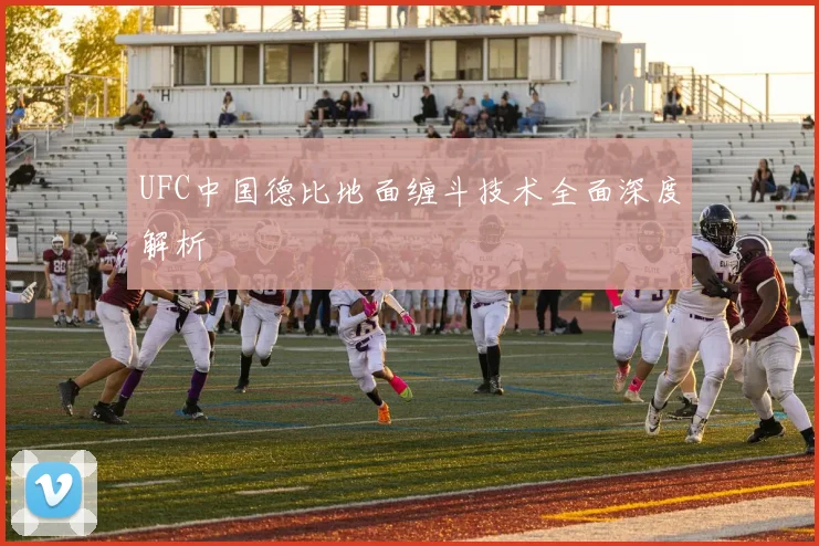 UFC中国德比地面缠斗技术全面深度解析