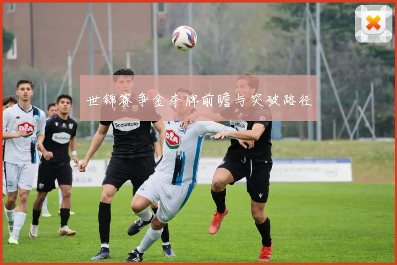 世锦赛争金夺牌前瞻与突破路径
